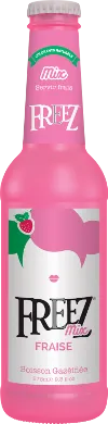 FREEZ MIX Fraise 24x27ml