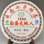 Galette de thé pu er cuit bio 357g année 2012 en gros