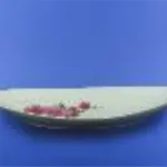 Plateau pour le poisson grand blanc avec décalcomanie, 29,5 cm