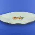 Mejaznica "Feuille 2" blanc avec décalcomanie, 28,5 cm 