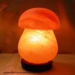 Décoration en sélenite