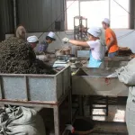 Grossiste exportateur de thés pu’er et thés noirs du Yunnan