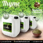 thyme essential oil  Natural Pure